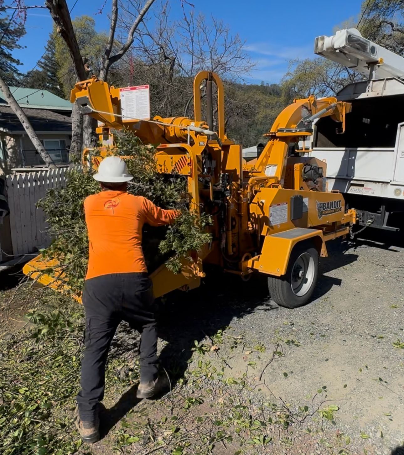 A person is using a chainsaw to cut a tree branch.