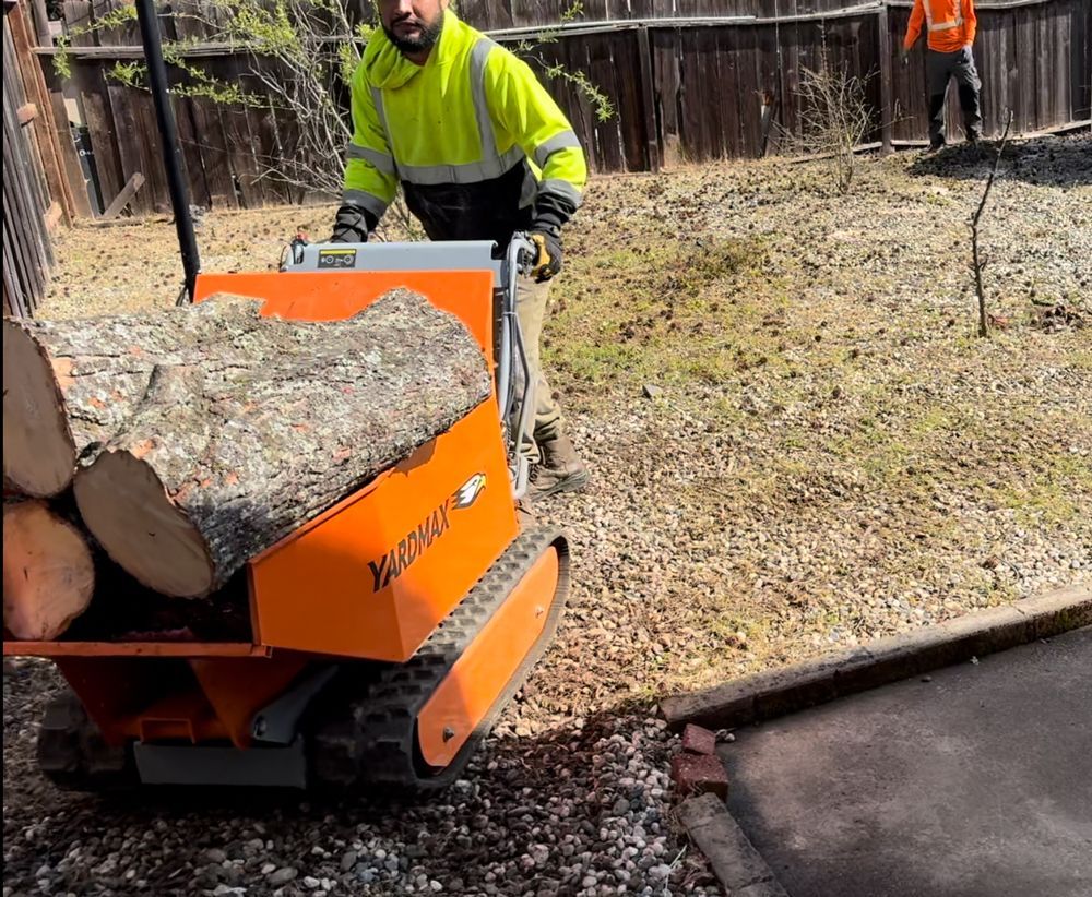 A man is pushing a cart full of logs.