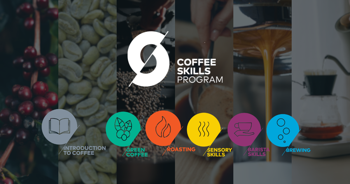 ¿Qué es el Coffee Skills Program?