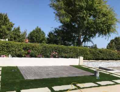 A lawn with a tree in the background and a white wall