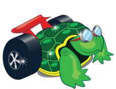 Turbo the turtle at Green Clean Auto Spa in North Carolina