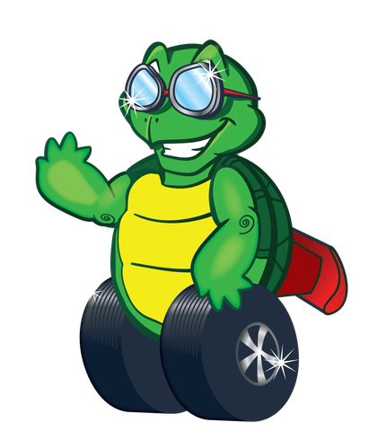 green clean auto spa turtle logo