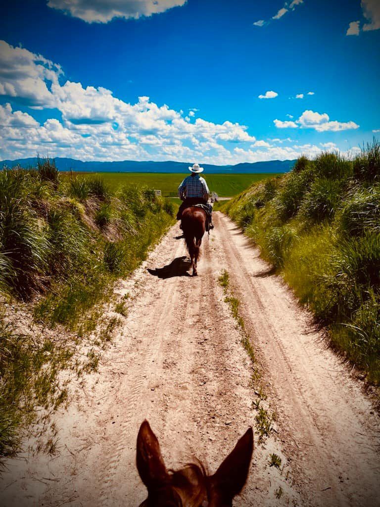 Person on horseback rides down a dirt path. Blue sky and green fields in background.