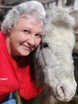 Woman in red shirt smiles, hugging a fluffy gray donkey in barn setting.