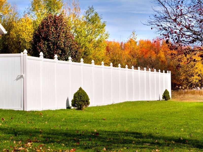 White vinyl fence in a grassy yard, fall foliage in the background.
