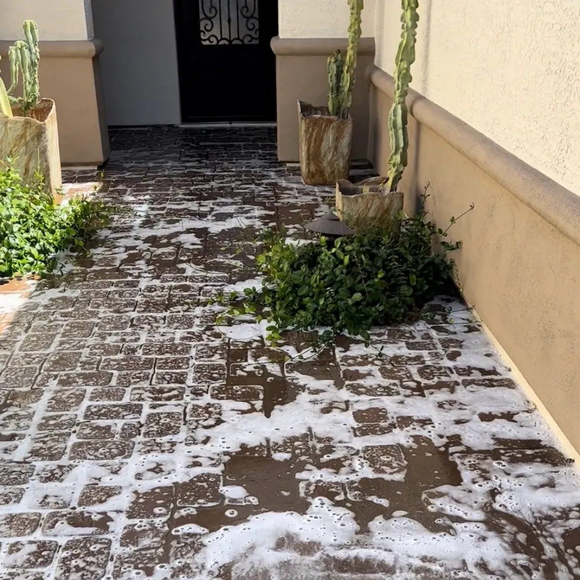 A brick walkway with a few potted plants on it