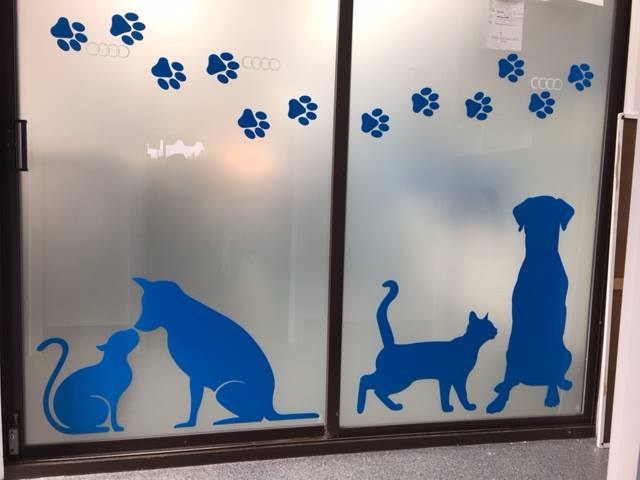 Window Signage At Vets — Solarmaster Brisbane in Murarrie, QLD