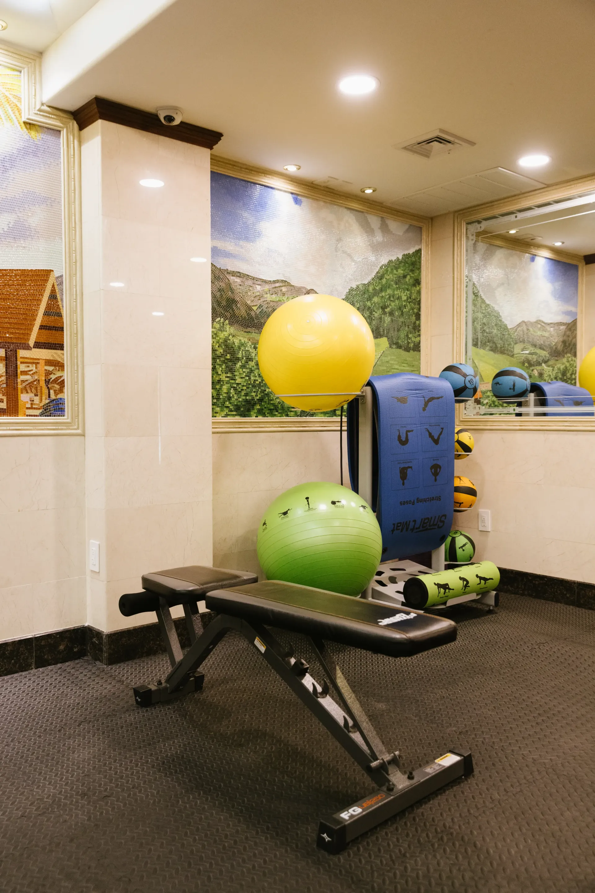 Gym interior with exercise bench, fitness balls, mats, and scenic wall art.