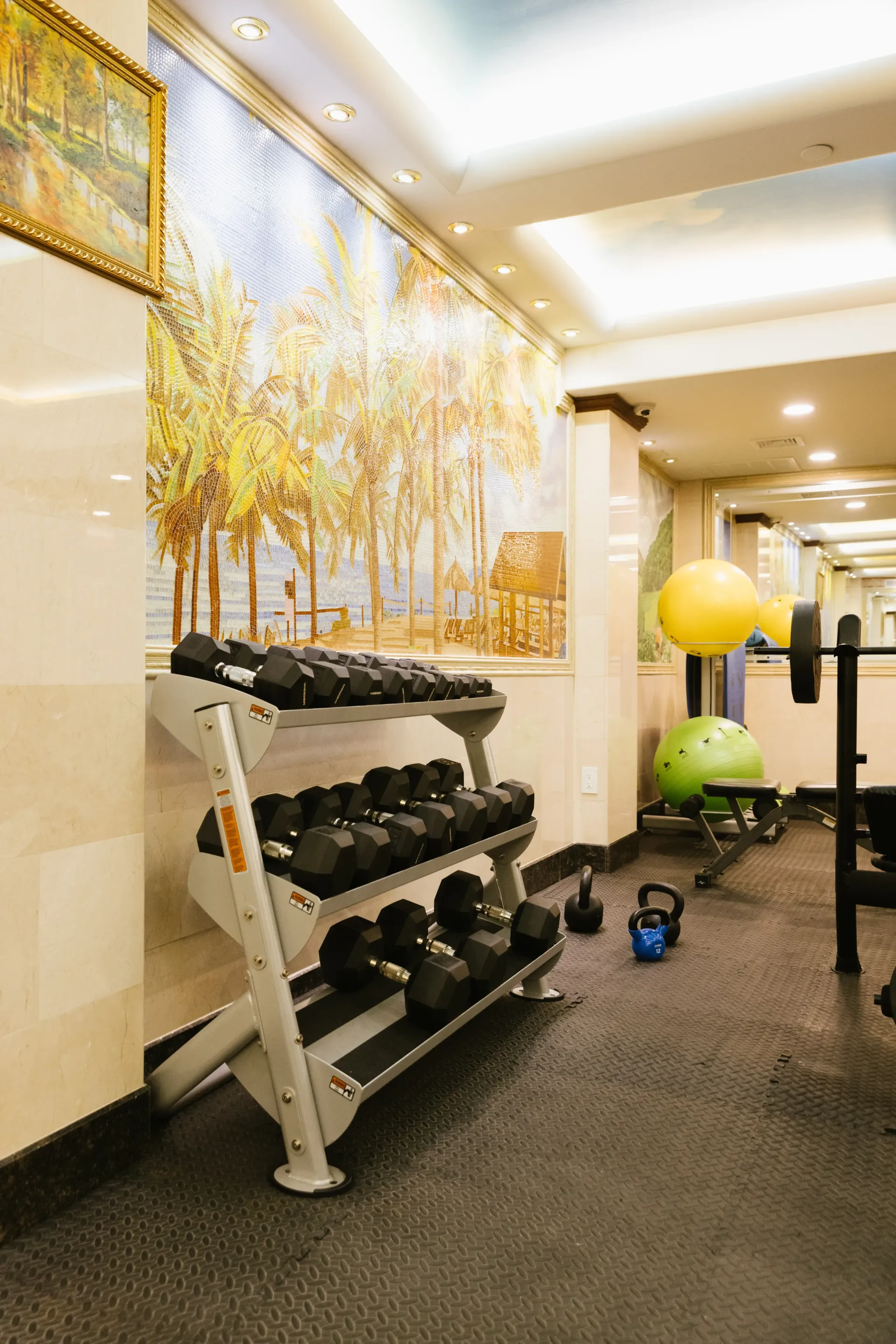 Gym with dumbbell rack, exercise balls, weight bench, and decorative mural.