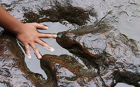 Hand touching a large, weathered footprint in wet rock.