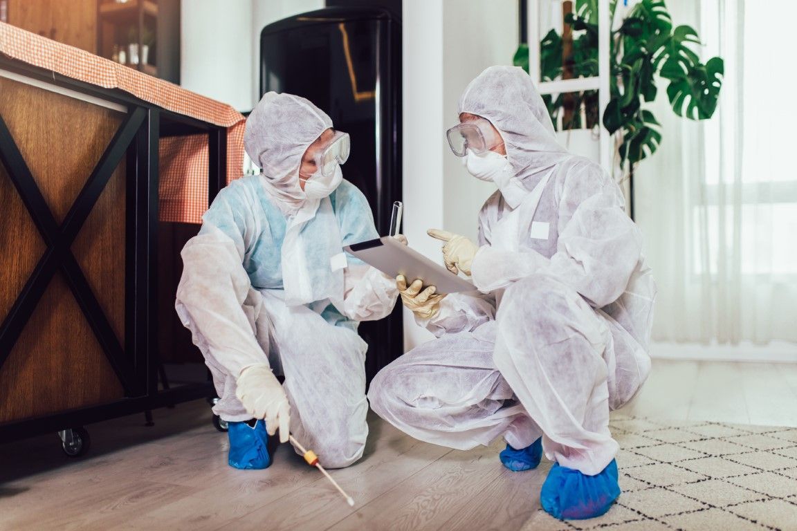 Two people in white protective suits cleaning a floor indoors with spray bottles and cloths
