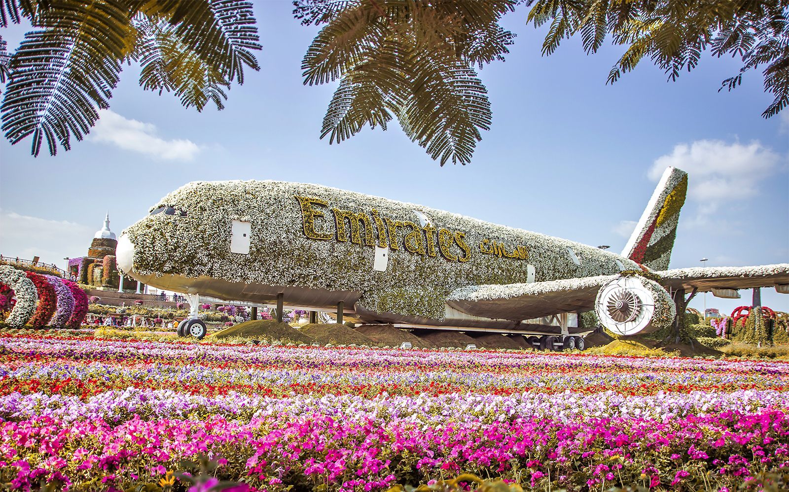 Miracle Garden Dubai