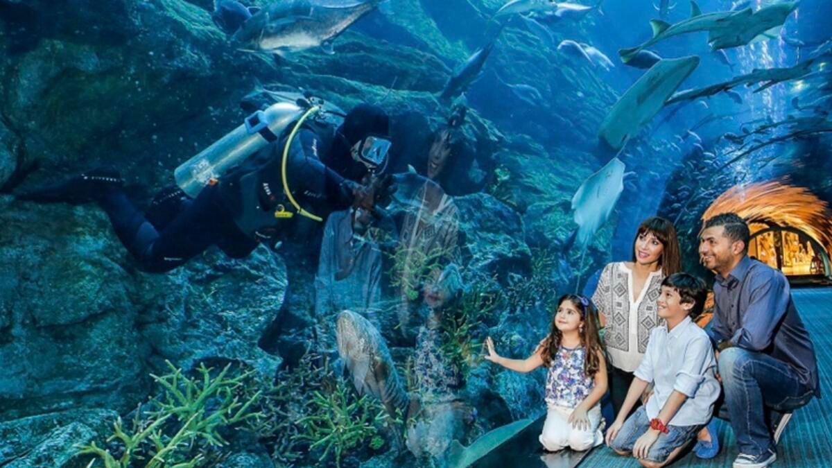 Dubai Aquarium & Under Water Zoo