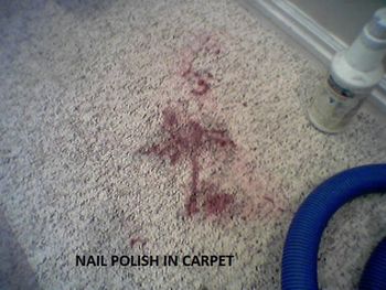 Before Cleaning the Carpet — Cleaning Services in Roy, UT