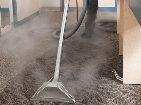 Vacuuming the Carpet — Cleaning Services in Roy, UT