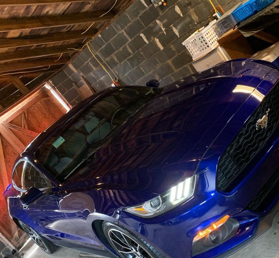 A blue mustang is parked in a garage.