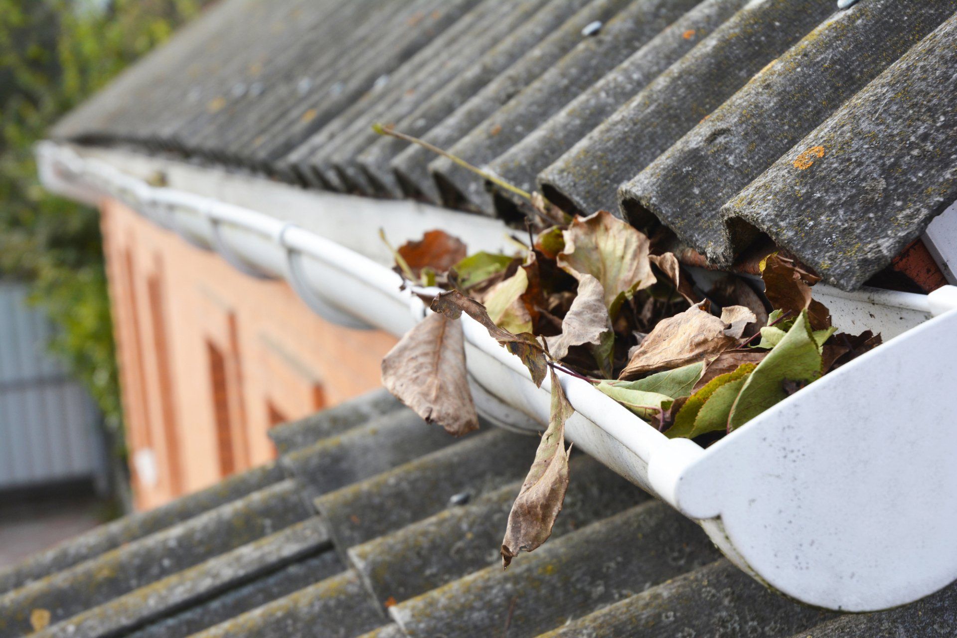Clogged Leaves Gutter