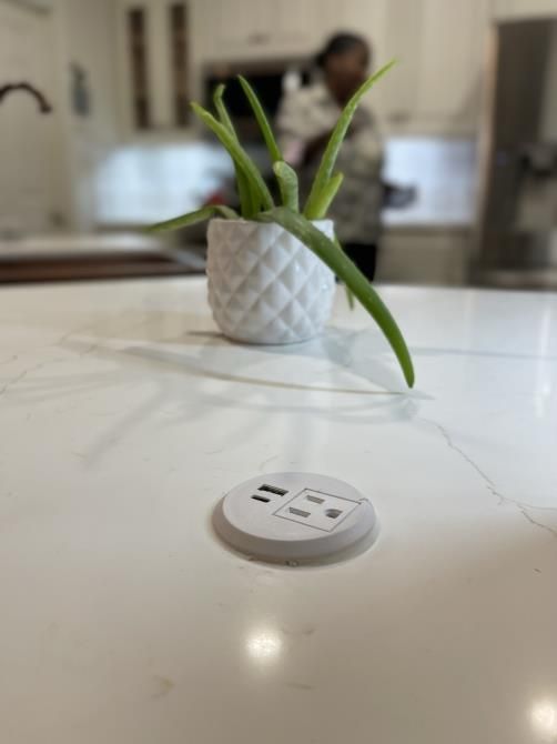 A potted plant is sitting on a counter next to a socket.