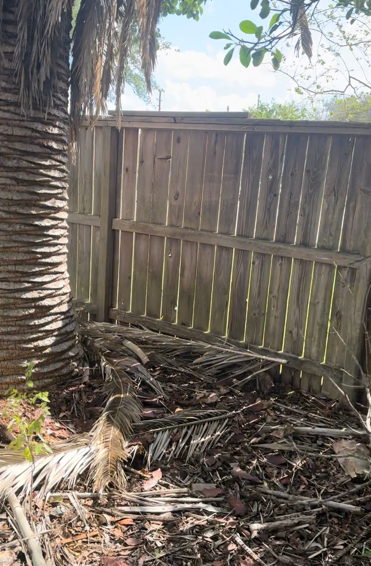 A wooden fence is surrounded by a pile of branches and leaves.