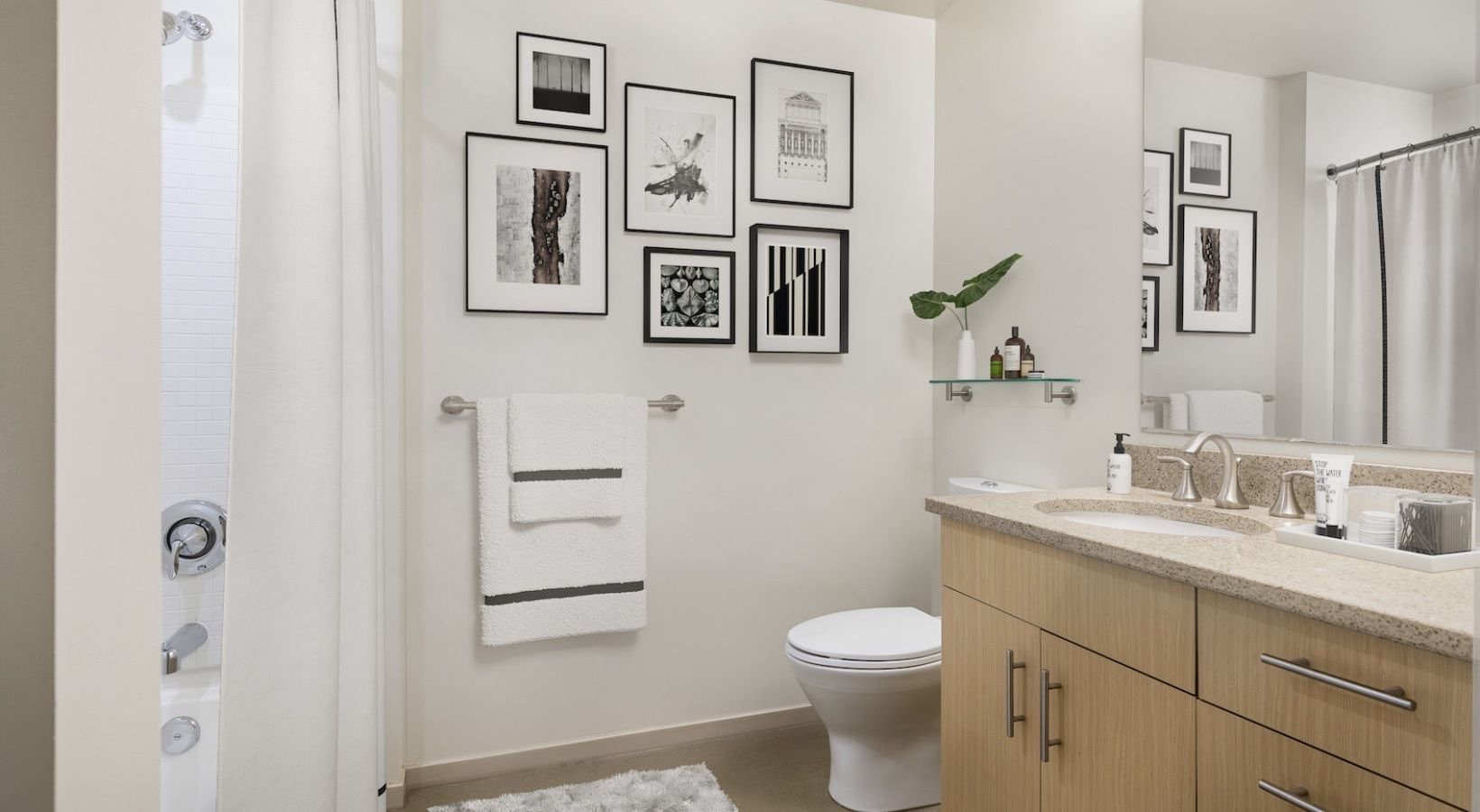 Bright apartment bathroom with a granite countertop vanity, toilet, shower, and wall art.