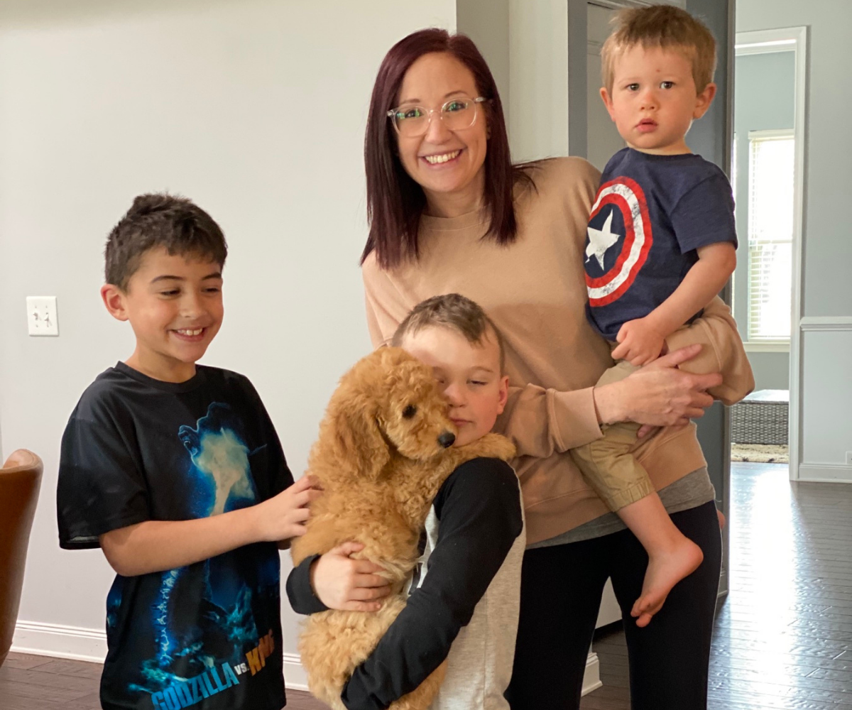 Home of Doodles Last Litter Chloe Simpsonville, South Carolina, Greenville, East Coast, Standard Poodles, Red Standard Poodle, AKC Available Puppies, Health Tested, Genetic Tested, Healthy, Breeder