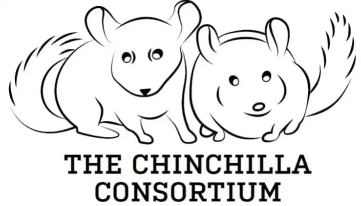 A black and white line-art logo of two chinchillas sitting side-by-side above the text 