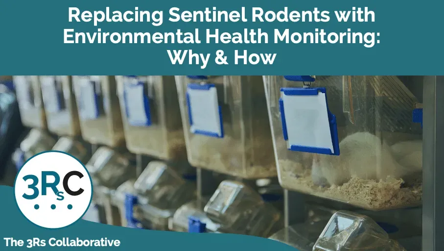 A laboratory rack of rodent cages with the text: 