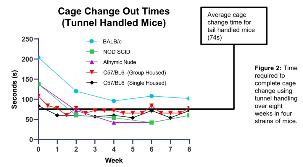 Line graph showing cage change times for four mouse strains decreasing over eight weeks to an average of 74 seconds.