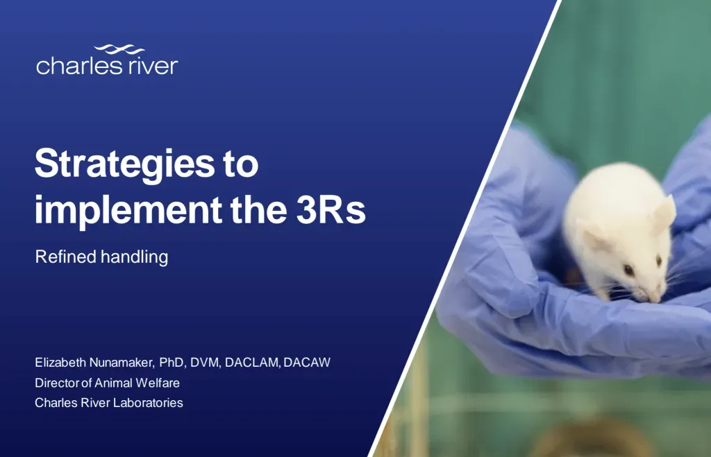 A blue presentation slide titled 