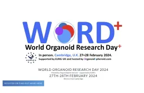 Event banner for World Organoid Research Day 2024, held in Cambridge, U.K., on February 27-28, 2024.
