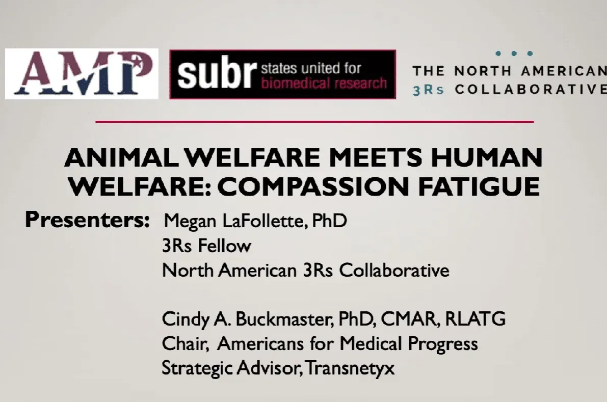 Presentation slide titled 