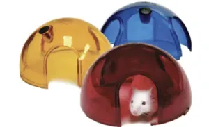 A white mouse peeking out of a red plastic dome-shaped hide, with yellow and blue domes nearby.