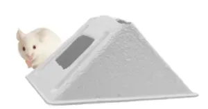 A white mouse stands next to a white, pyramid-shaped object with a dark rectangular patch.