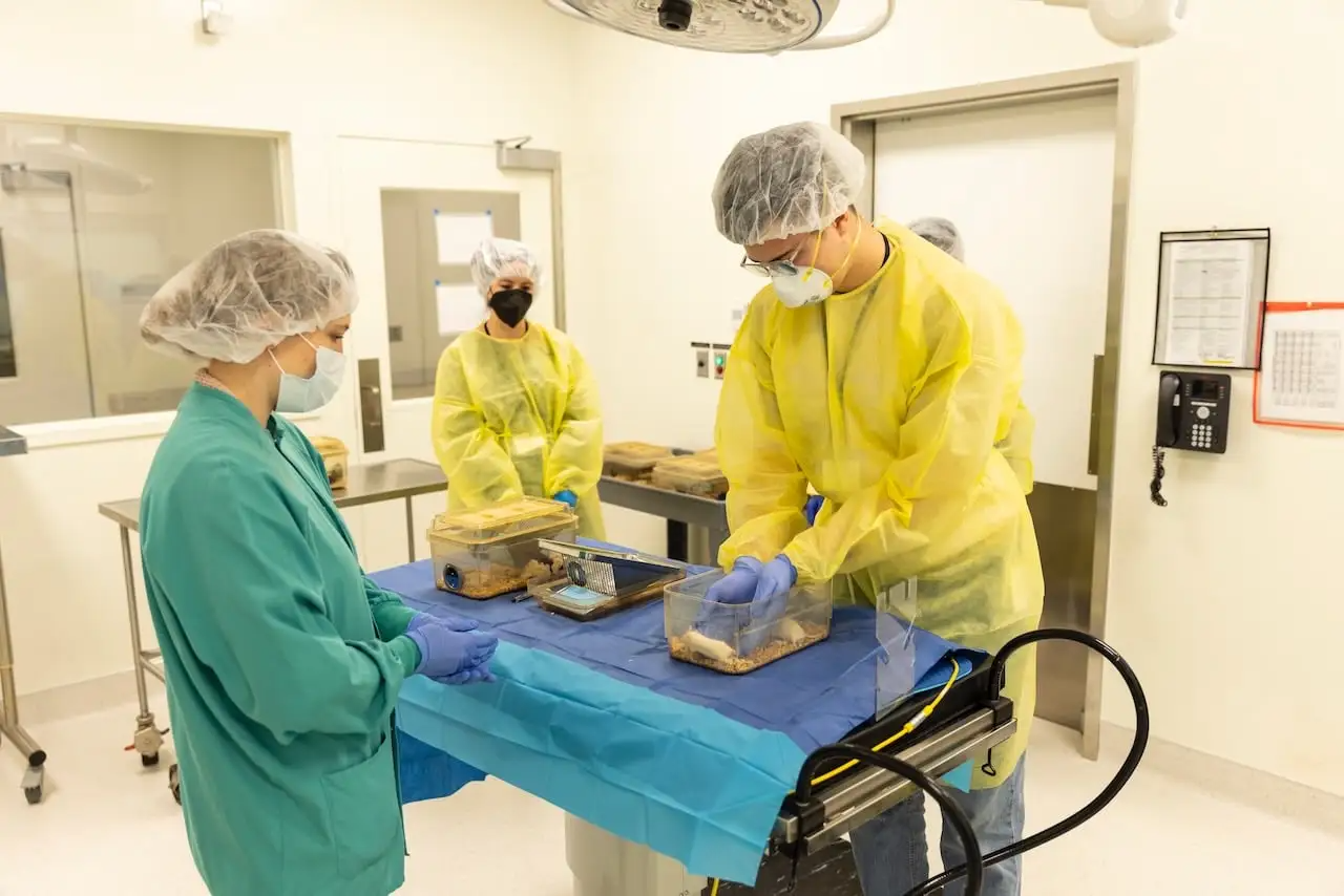 Three people in protective medical gear work with small animal containers on a table in a clinical laboratory setting.
