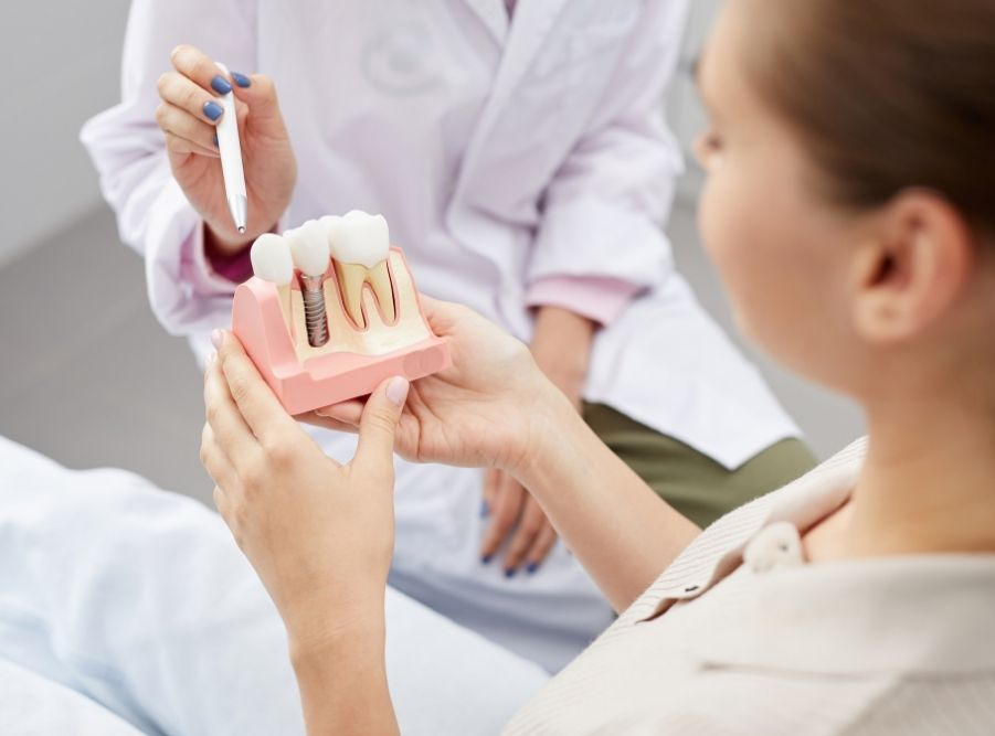 Dentist showing dental model to a patient in a clinic, using pointer.