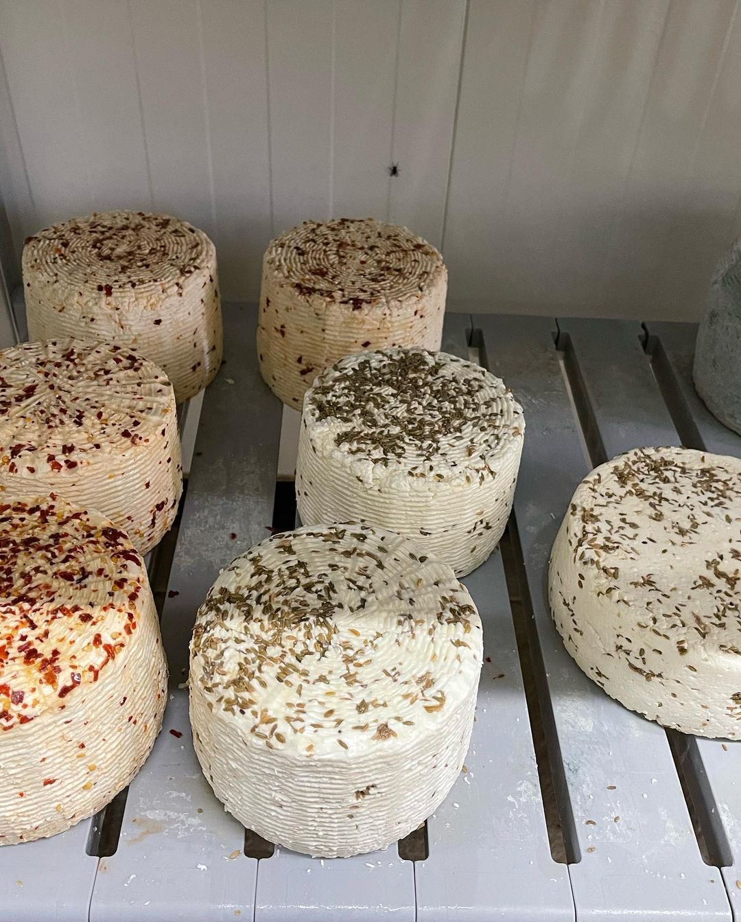 Pecorino speziato