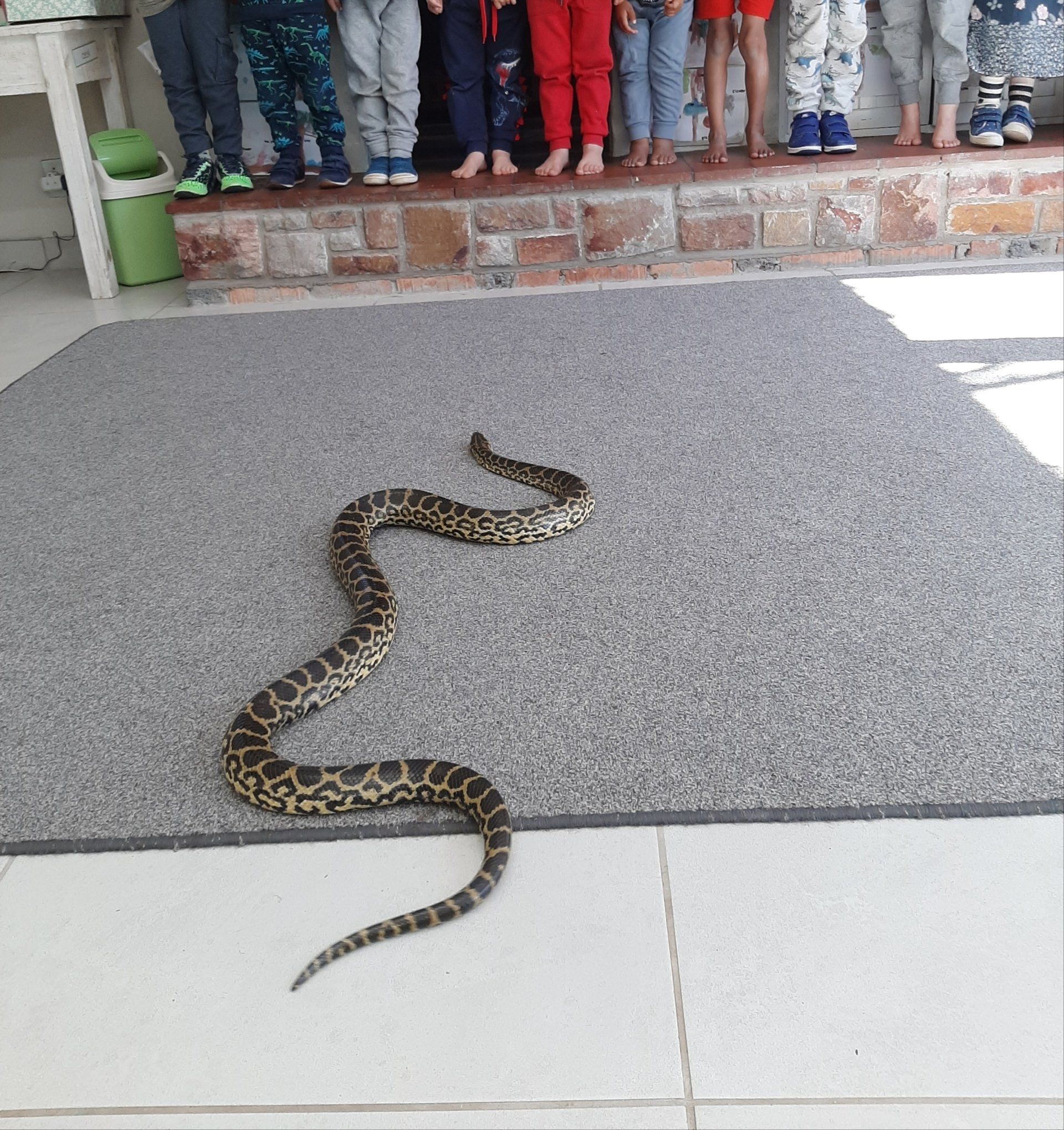 A group of children standing next to a snake on the floor