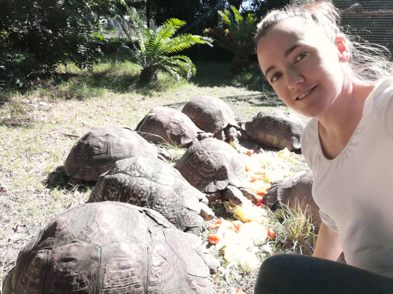 A woman sitting in front of a group of turtles