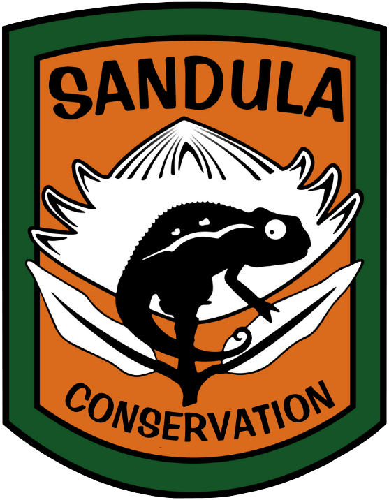 A logo for sandula conservation with a chameleon on a flower