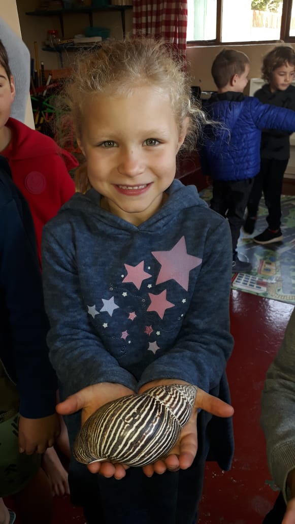 A little girl is holding a rock in her hands.