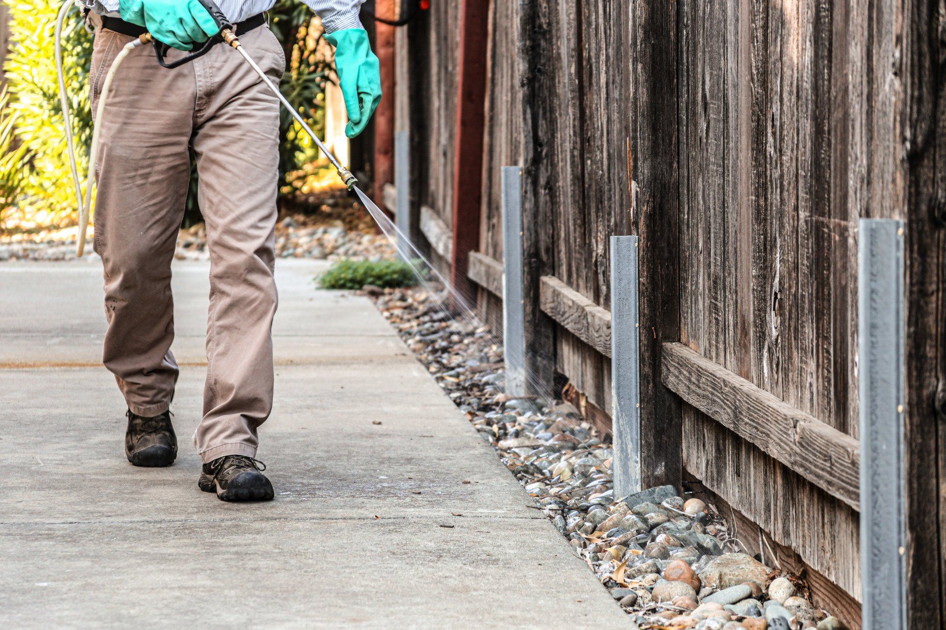 perimeter pest management