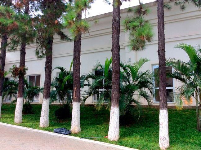 Complexo Mont Blanc 44