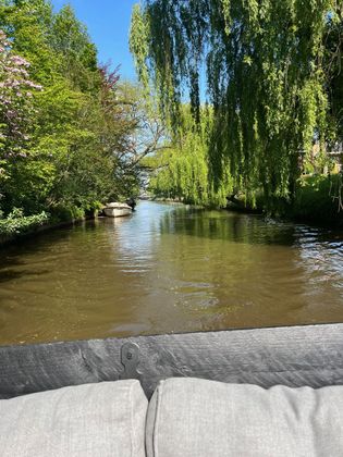 Uitzicht op een rivier omgeven door bomen vanaf een bank.