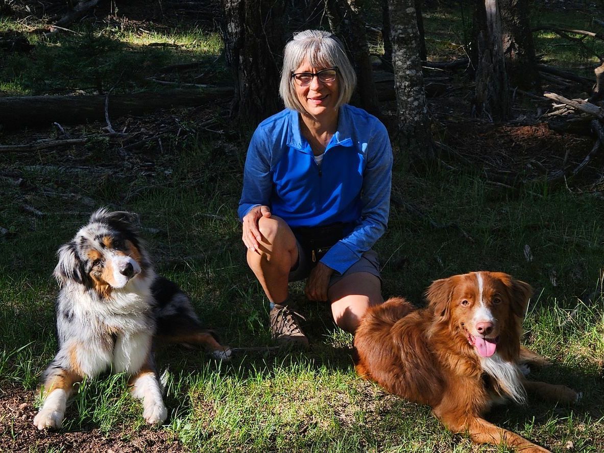 A woman is kneeling down next to two dogs in the grass.