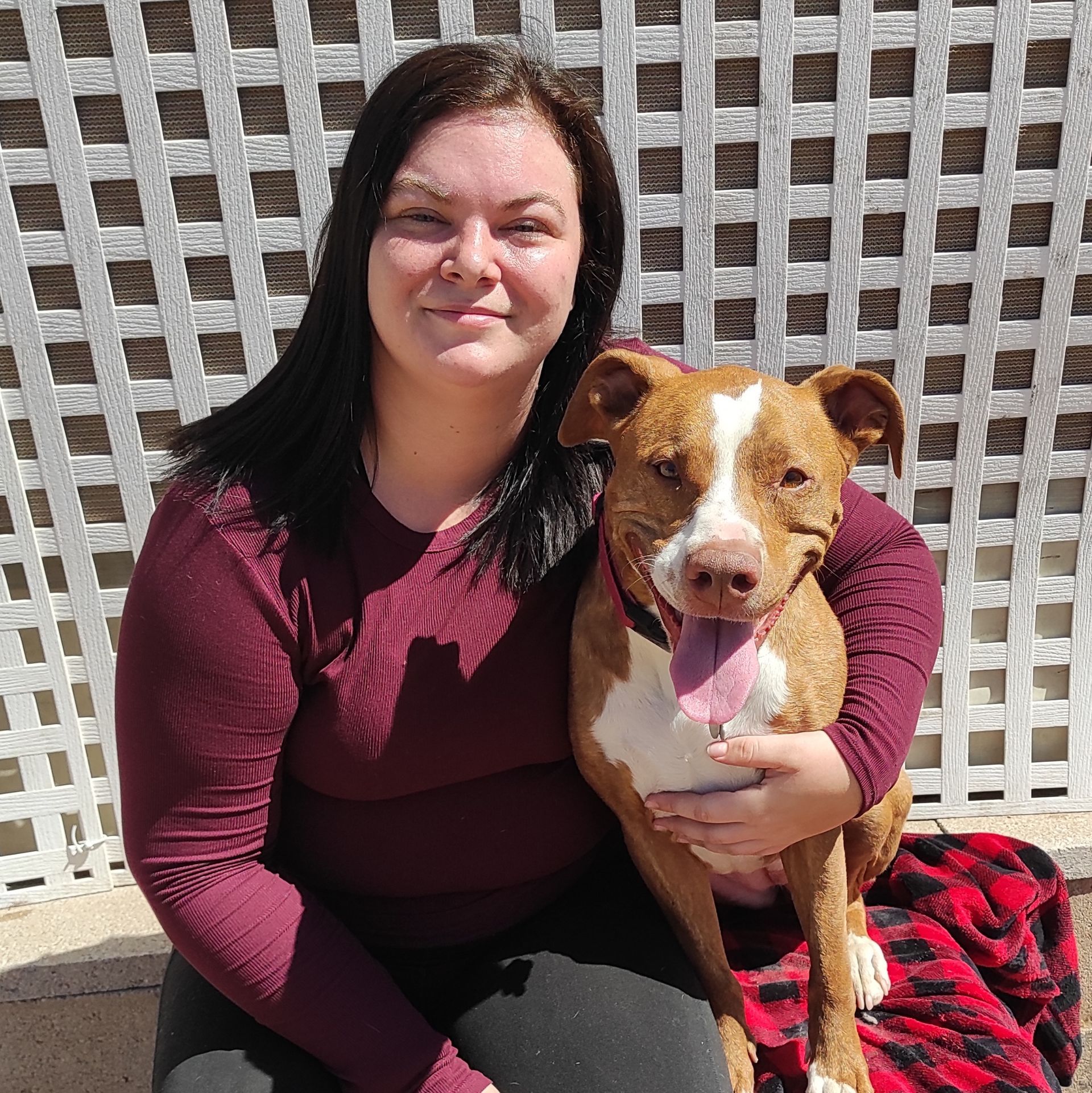 A woman is holding a brown and white dog in her arms.