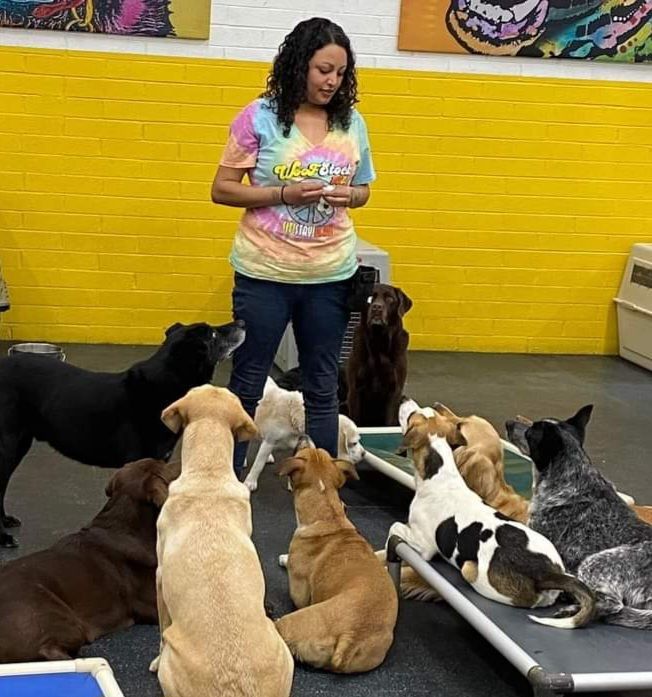 A woman in a tie dye shirt stands in front of a group of dogs