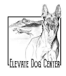 A black and white drawing of a dog with the words elevate dog center below it.