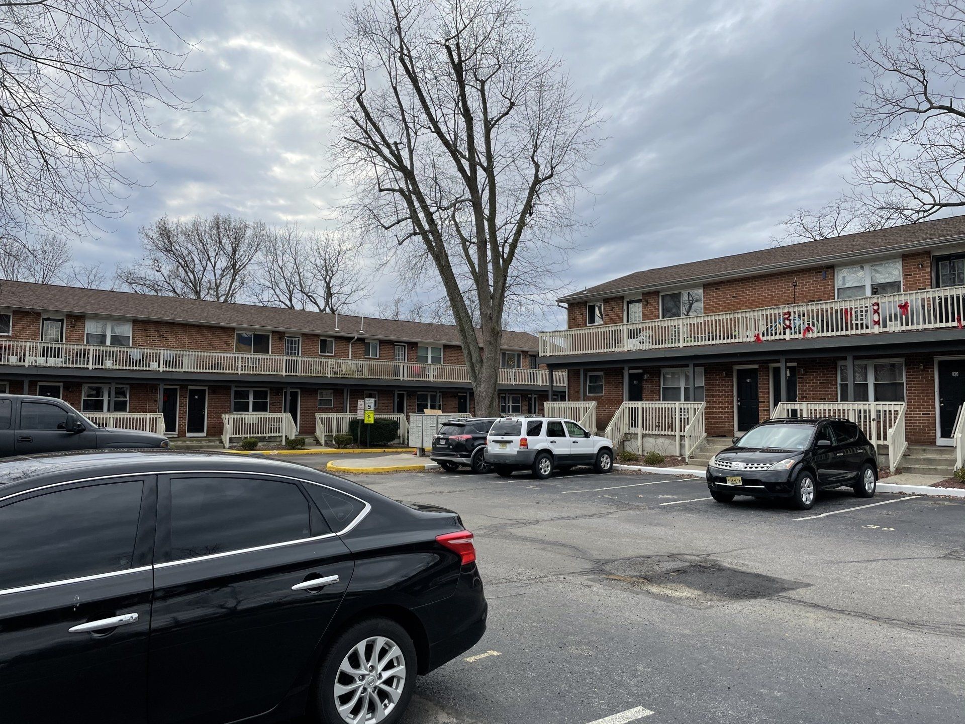 pine meadows apartment building