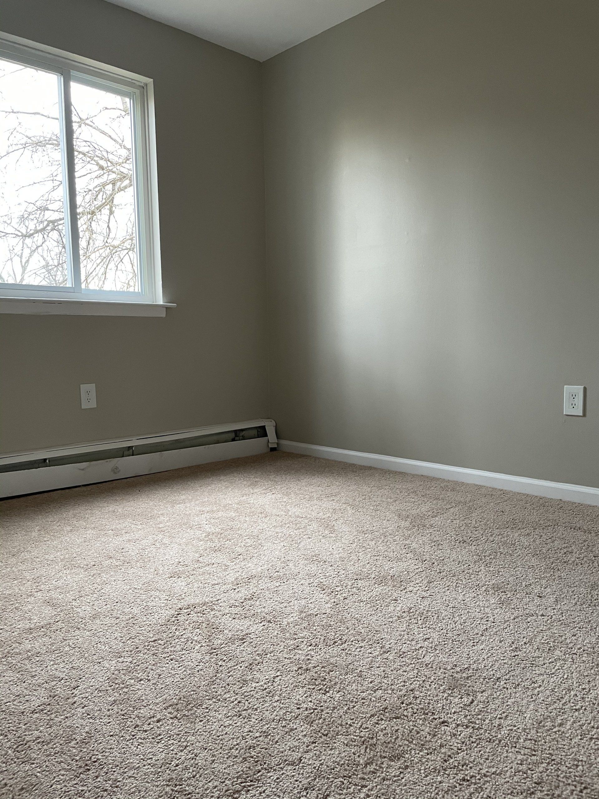 carpeted bedroom