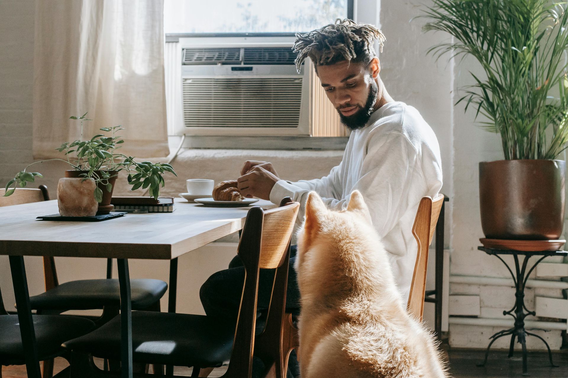 A person sits at a table eating, a dog sits below staring up expectantly. Natural light fills the room.
